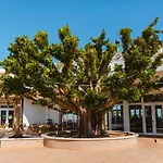 Hotel Torre Cintola Greenblu Sea Emotions