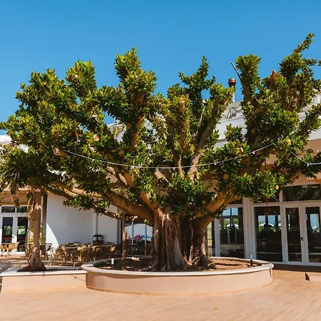 Hotel Torre Cintola Greenblu Sea Emotions